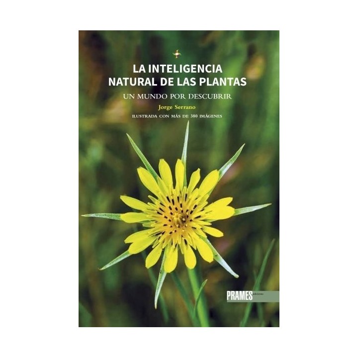 LA INTELIGENCIA NATURAL DE LAS PLANTAS UN MUNDO POR DESCUBR