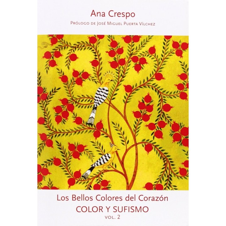 COLOR Y SUFISMO 2