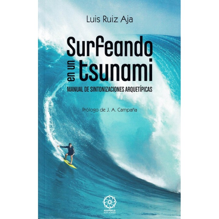 SURFEANDO EN UN TSUNAMI