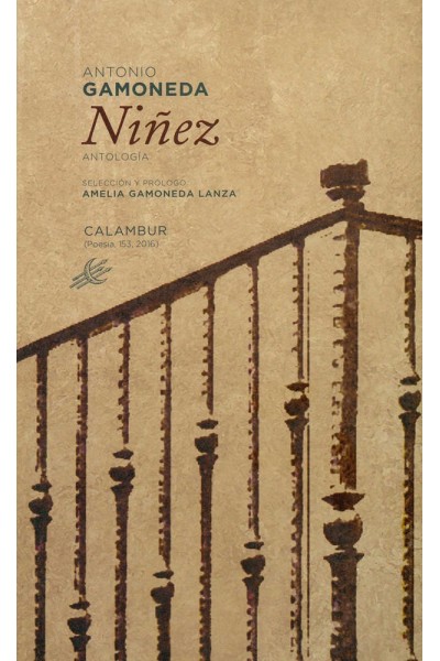 NIÑEZ