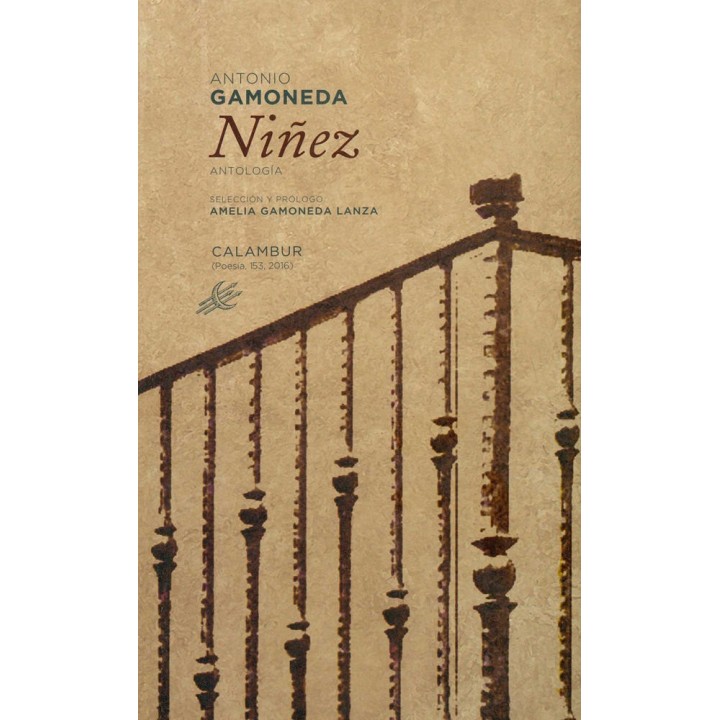 NIÑEZ