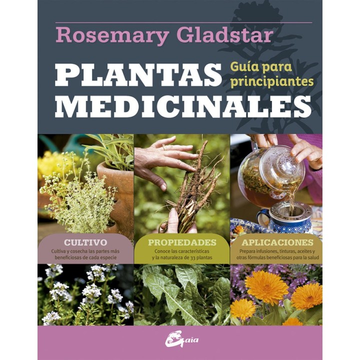 PLANTAS MEDICINALES