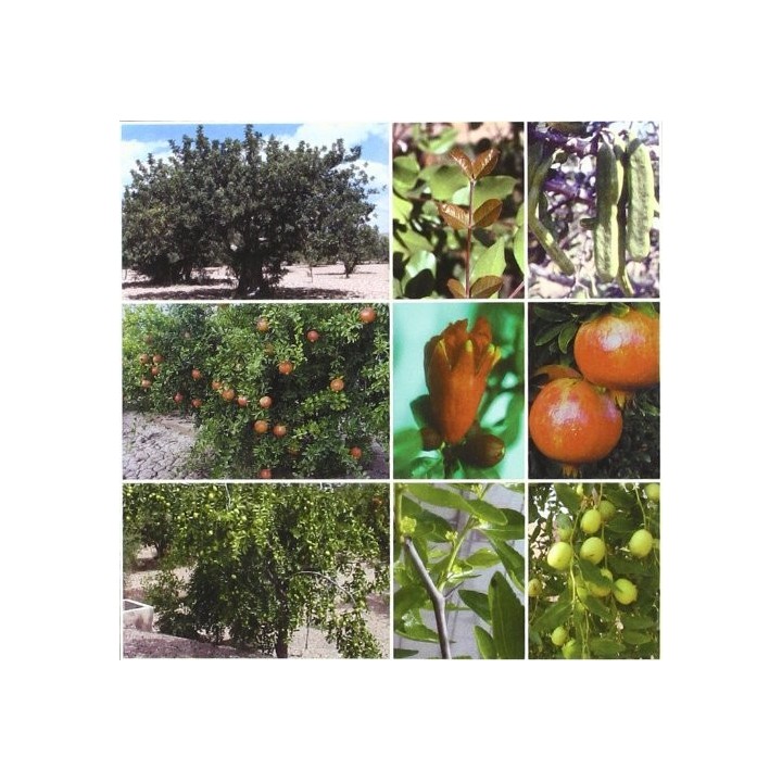 TRATADO DE FRUTICULTURA PARA ZONA ARIDAS Y SEMIARI