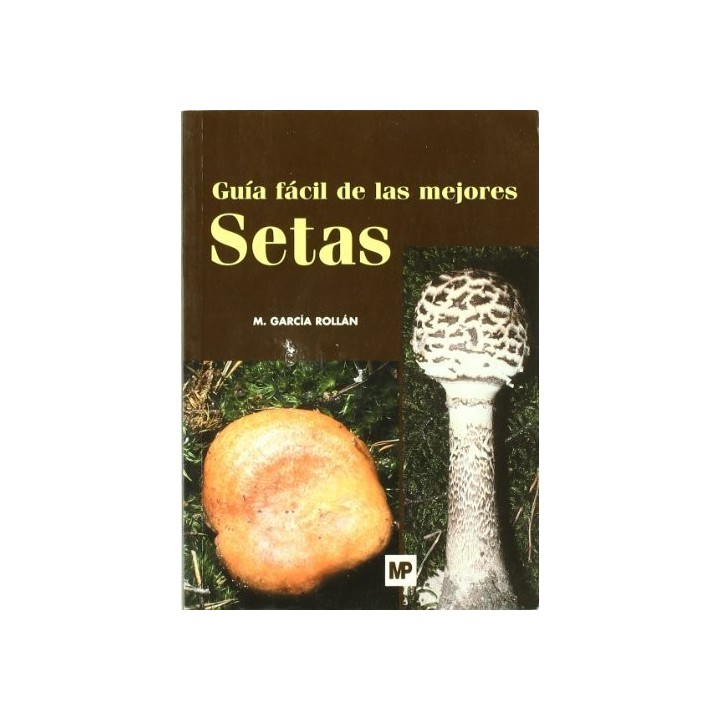 GUIA FACIL MEJORES SETAS