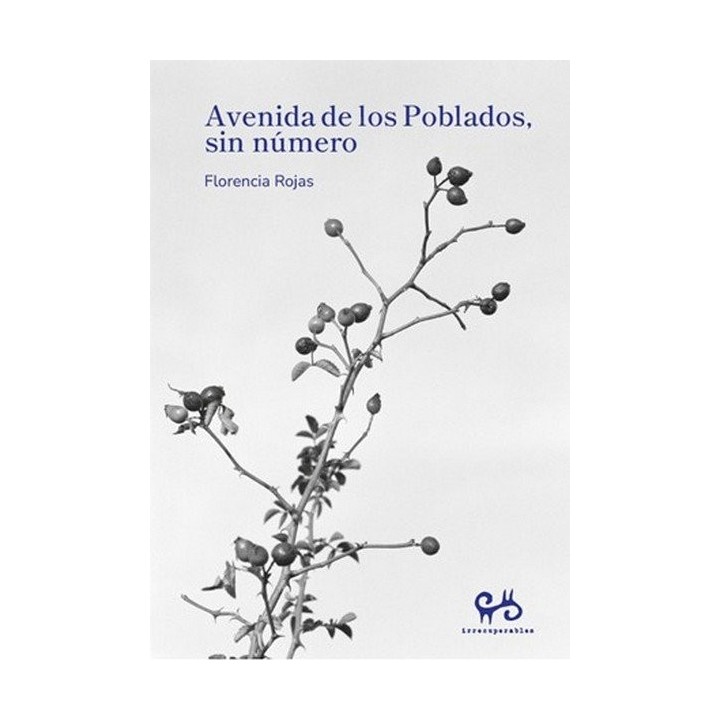 AVENIDA DE LOS POBLADOS SIN NUMERO