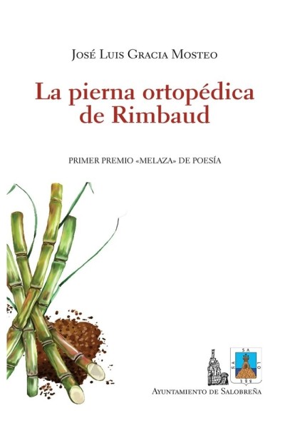 PIERNA ORTOPEDICA DE RIMBAUD,LA