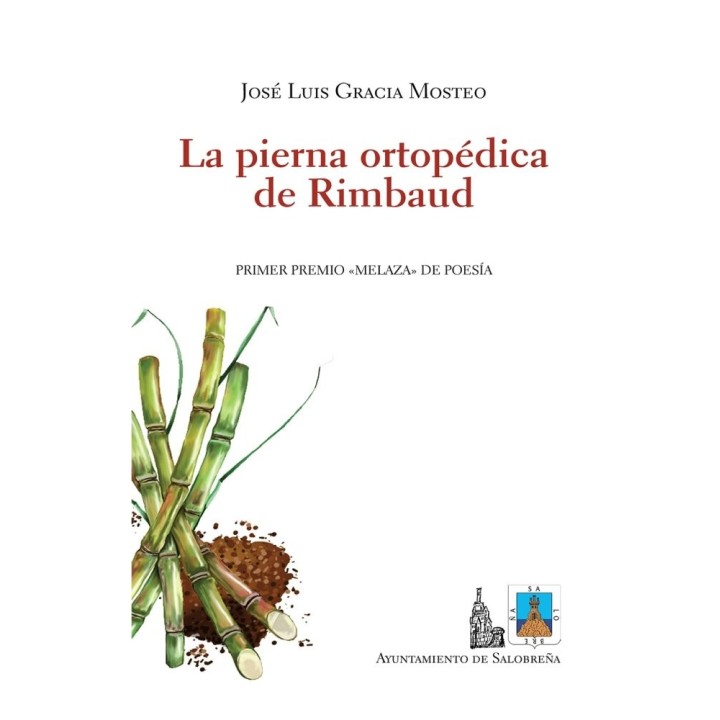 PIERNA ORTOPEDICA DE RIMBAUD,LA