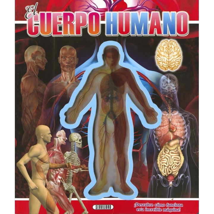 CUERPO HUMANO,EL