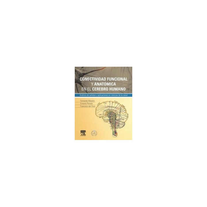 CONECTIVIDAD FUNCIONAL Y ANATOMICA EN EL CEREBRO HUMANO + ST