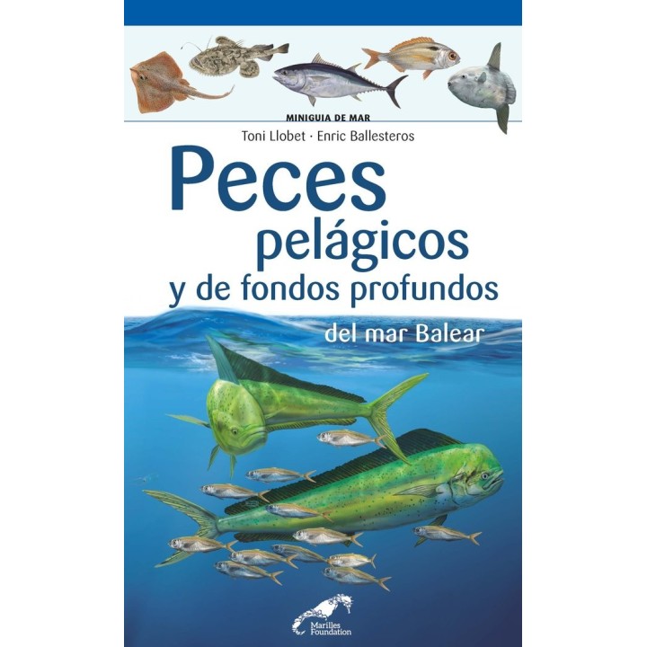 PECES PELAGICOS Y DE FONDOS PROFUNDOS DEL MAR BALEAR