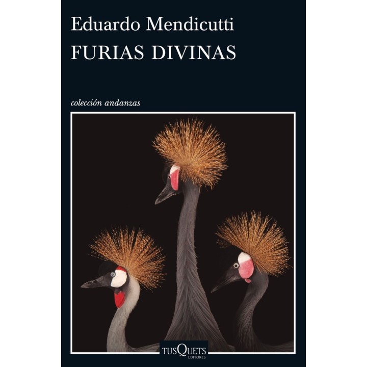 FURIAS DIVINAS