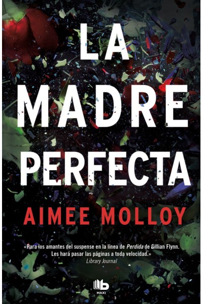 LA MADRE PERFECTA