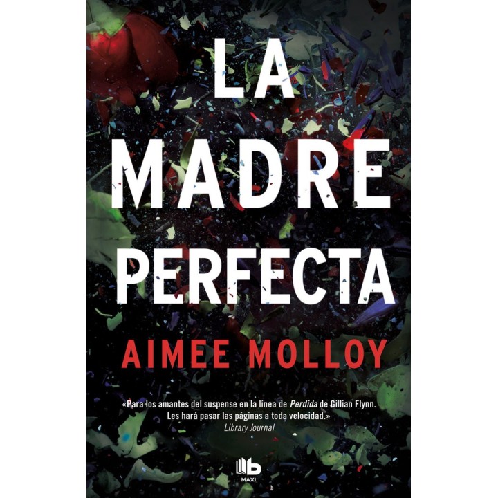 LA MADRE PERFECTA