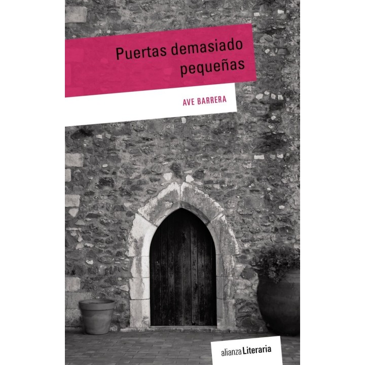 PUERTAS DEMASIADO PEQUEÑAS