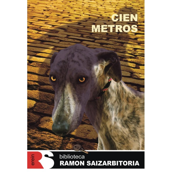 CIEN METROS