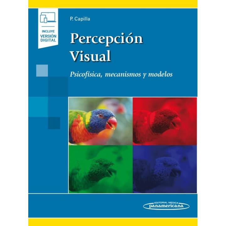 PERCEPCION VISUAL