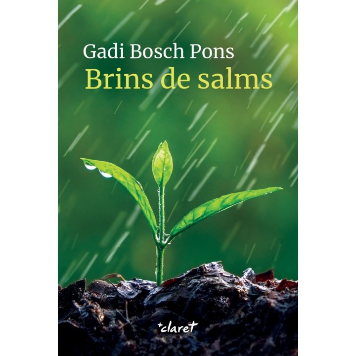 BRINS DE SALMS