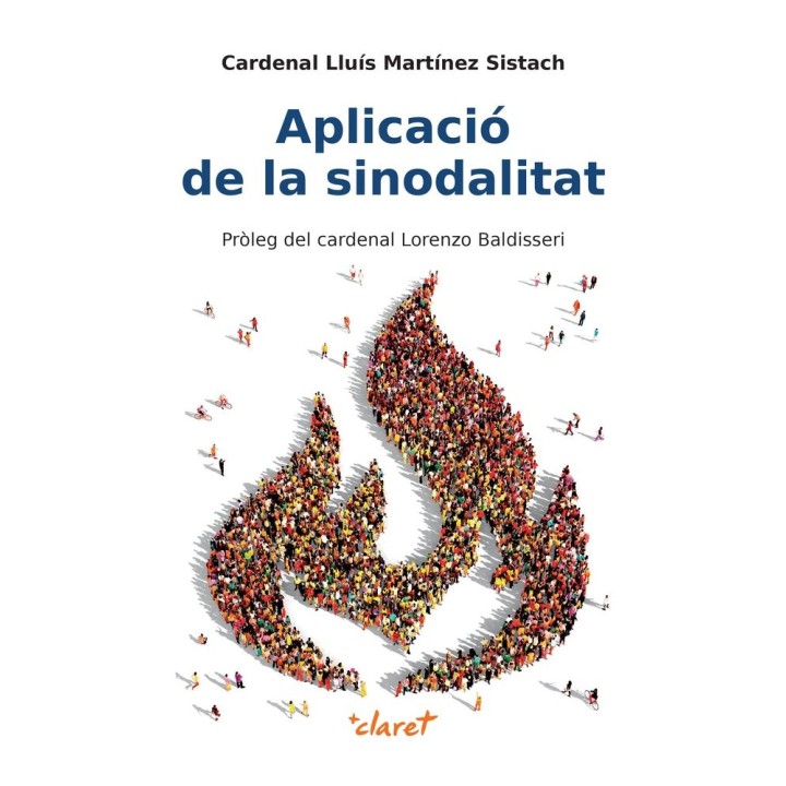 APLICACIO DE LA SINODALITAT