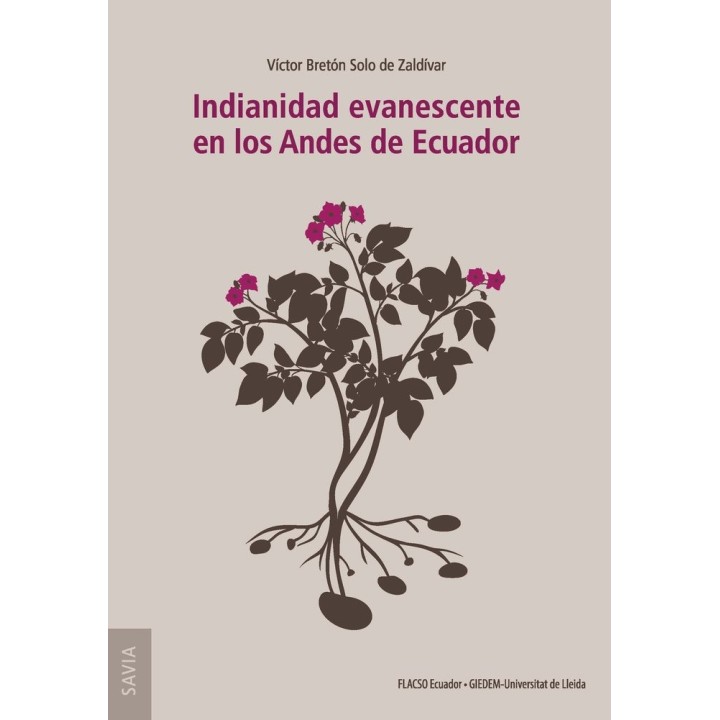 INDIANIDAD EVANESCENTE EN LOS ANDES DE ECUADOR