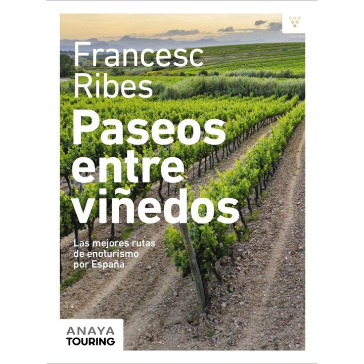 PASEOS ENTRE VIÑEDOS