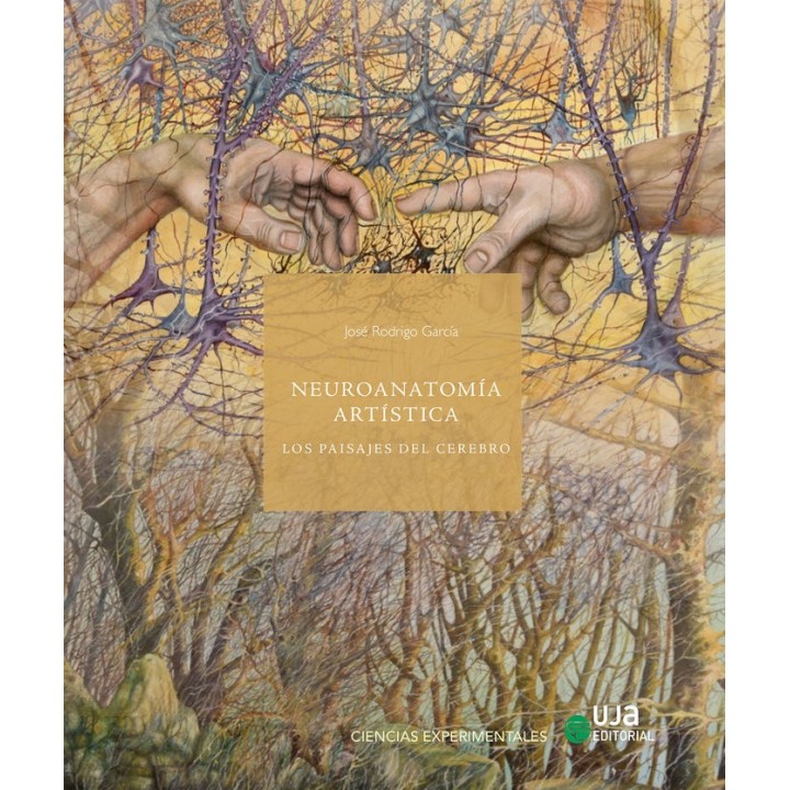 NEUROANATOMIA ARTISTICA LOS PAISAJES DEL CEREBRO