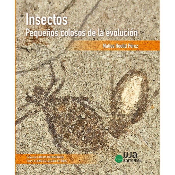 INSECTOS PEQUEÑOS COLOSOS DE LA EVOLUCION