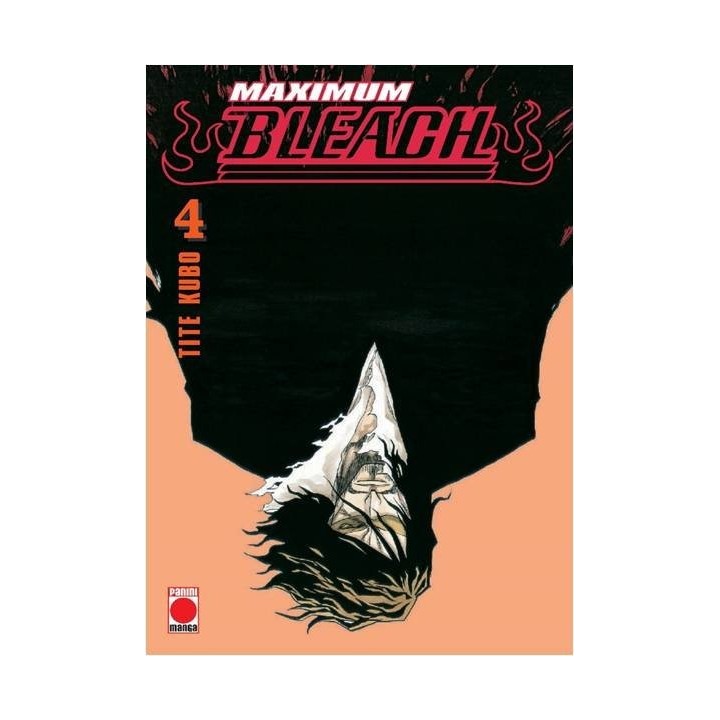 BLEACH MAXIMUM 4