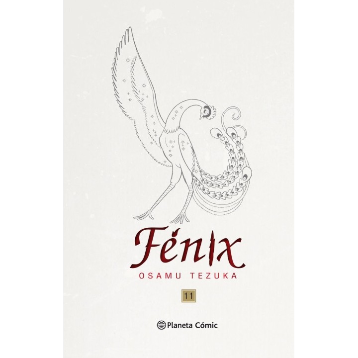 FENIX 11 NUEVA EDICION