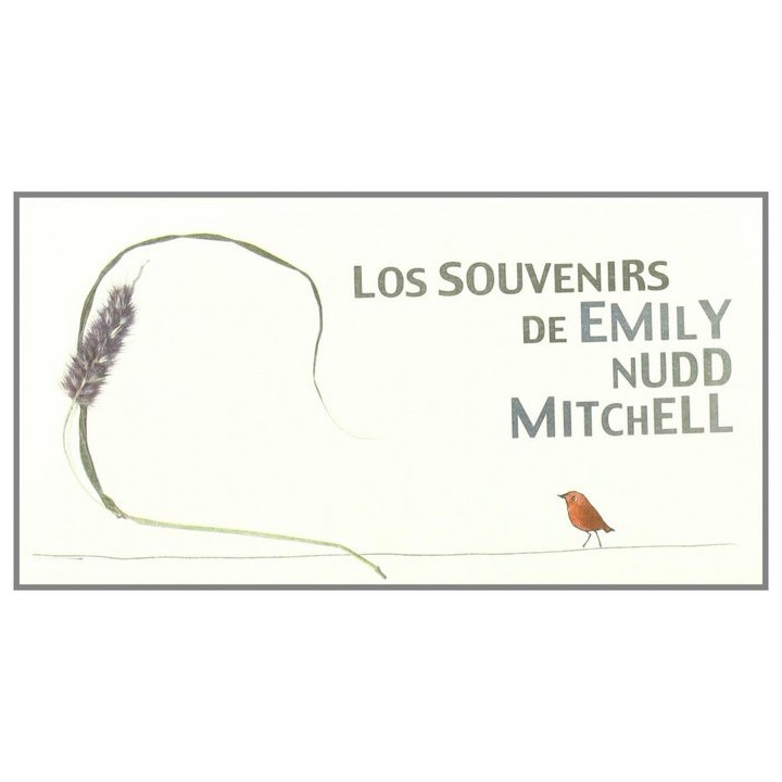 SOUVENIRS DE EMILY NUDD MITCHELL - POSTALES
