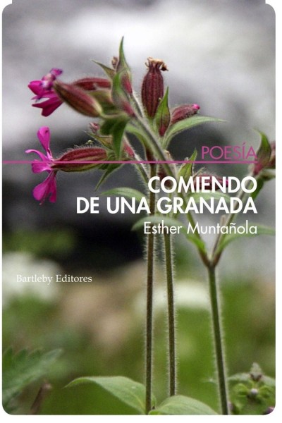 COMIENDO DE UNA GRANADA