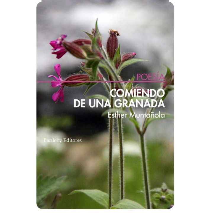 COMIENDO DE UNA GRANADA