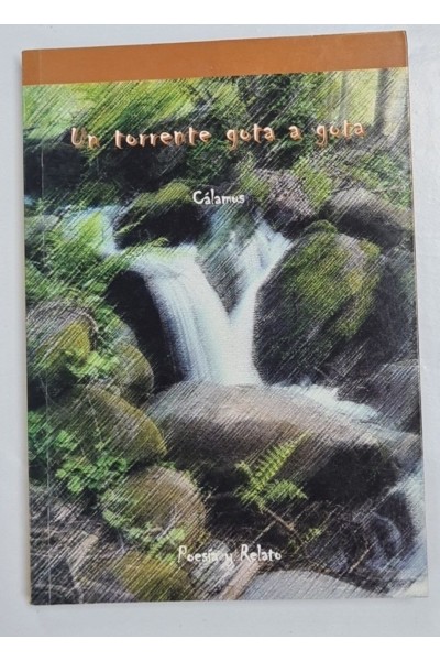 UN TORRENTE GOTA A GOTA. Poesía y Relato