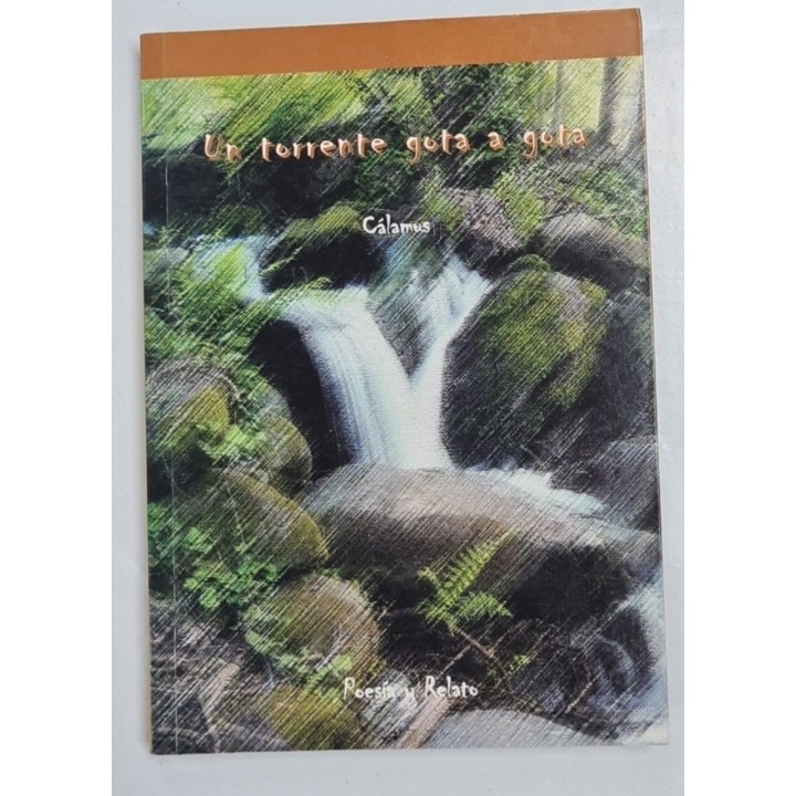UN TORRENTE GOTA A GOTA. Poesía y Relato
