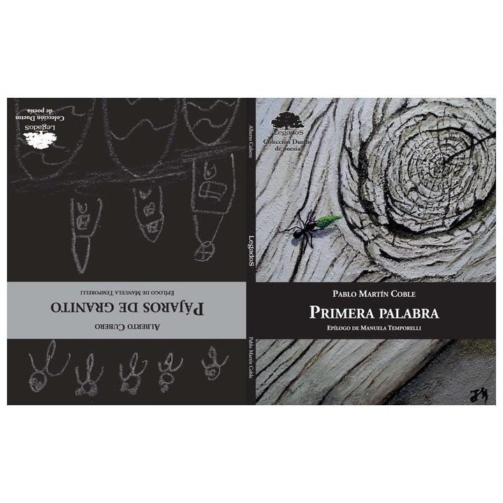 PAJAROS DE GRANITO PRIMERA PALABRA