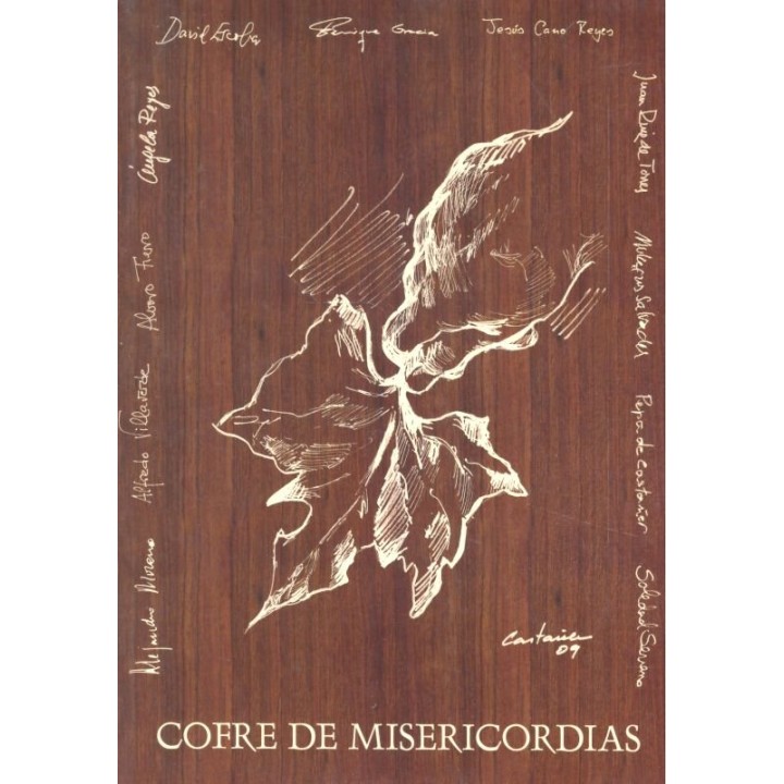 CLARA Y SU DIARIO EN UNA AVENTURA INCREIBLE