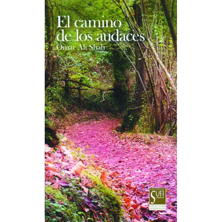 CAMINO DE LOS AUDACES,EL