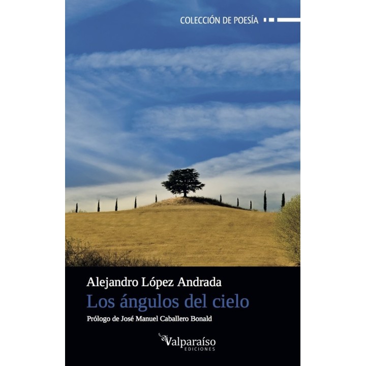 ANGULOS DEL CIELO,LOS