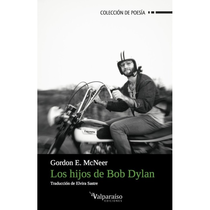 HIJOS DE BOB DYLAN,LOS