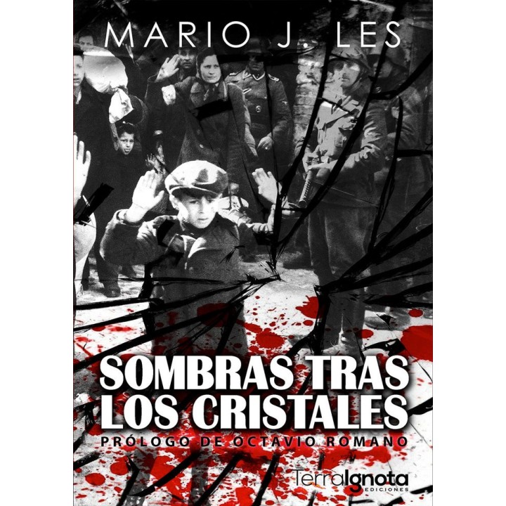 SOMBRAS TRAS LOS CRISTALES