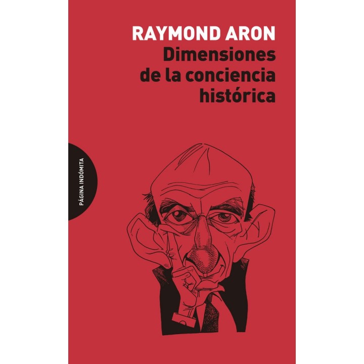 DIMENSIONES DE LA CONCIENCIA HISTORICA
