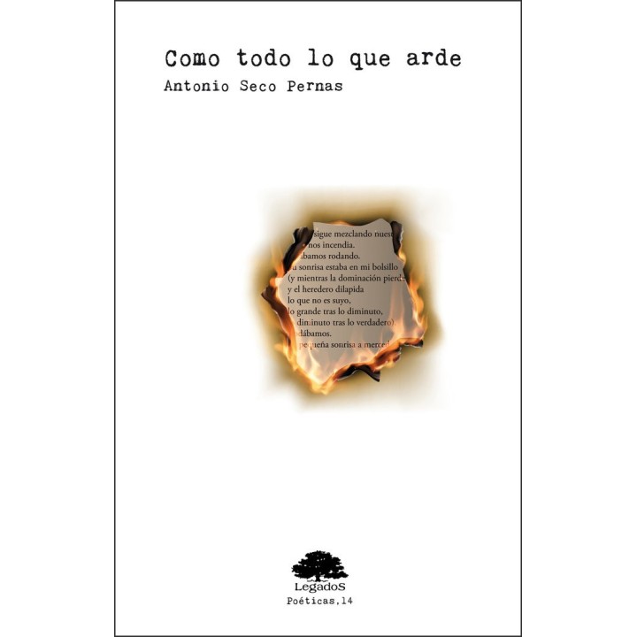 COMO TODO LO QUE ARDE