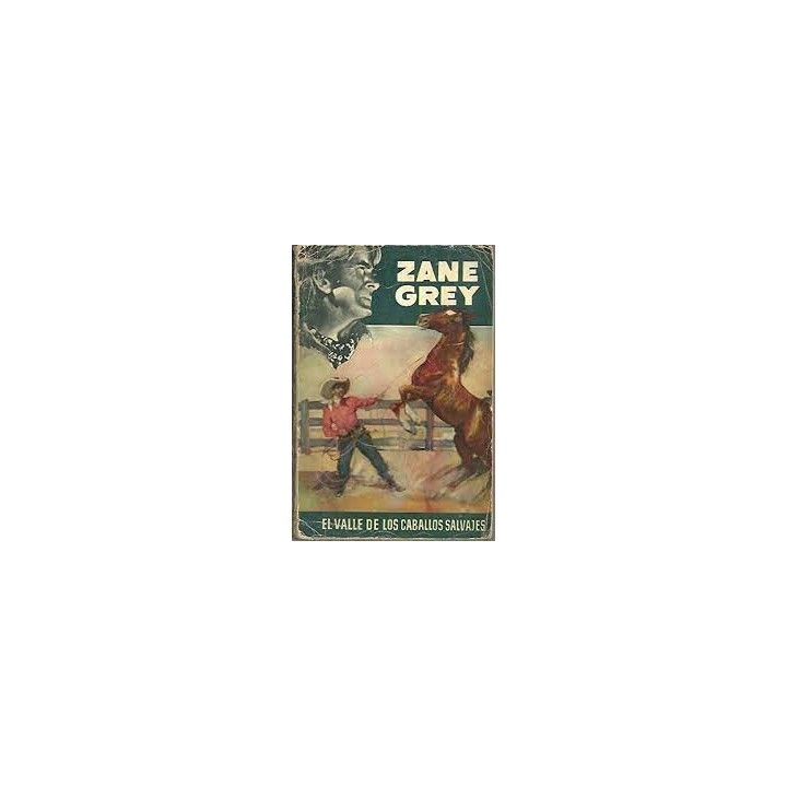 EL VALLE DE LOS CABALLOS SALVAJES