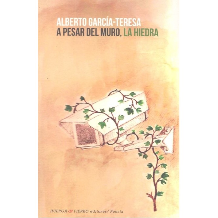 A PESAR DEL MURO LA HIEDRA