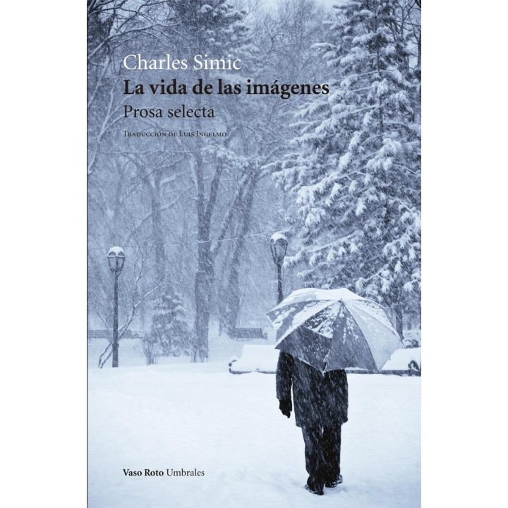 VIDA DE LAS IMAGENES,LA