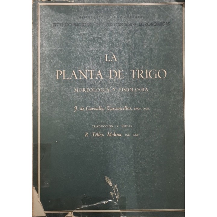 LA PLANTA DE TRIGO. MORFOLOGÍA Y FISIOLOGÍA.