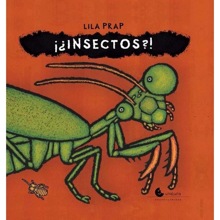 INSECTOS