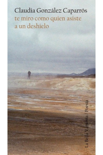 TE MIRO COMO QUIEN ASISTE A UN DESHIELO
