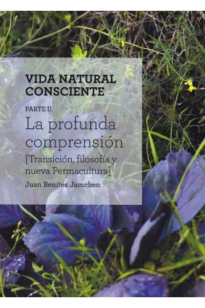 DISEÑO LINDO Y QUERIDO