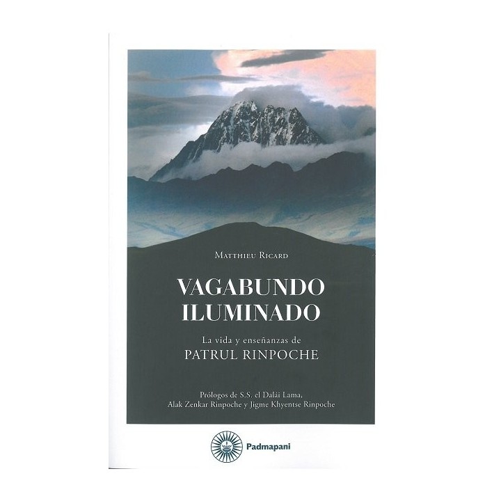 VAGABUNDO ILUMINADO