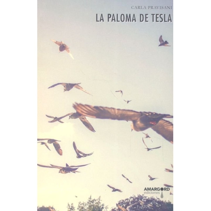 PALOMA DE TESLA